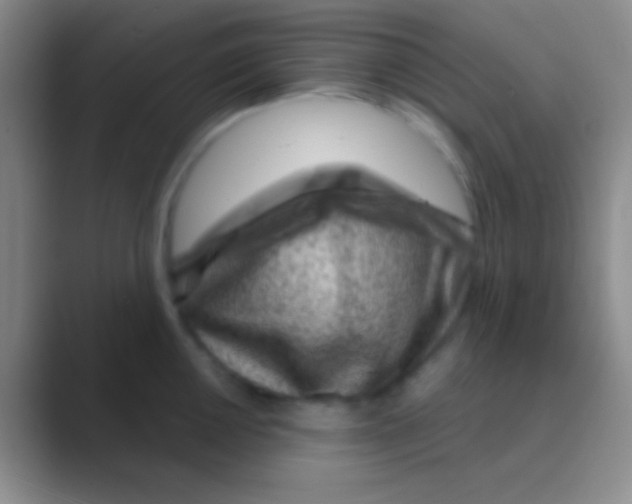 X0000088731050200706282120