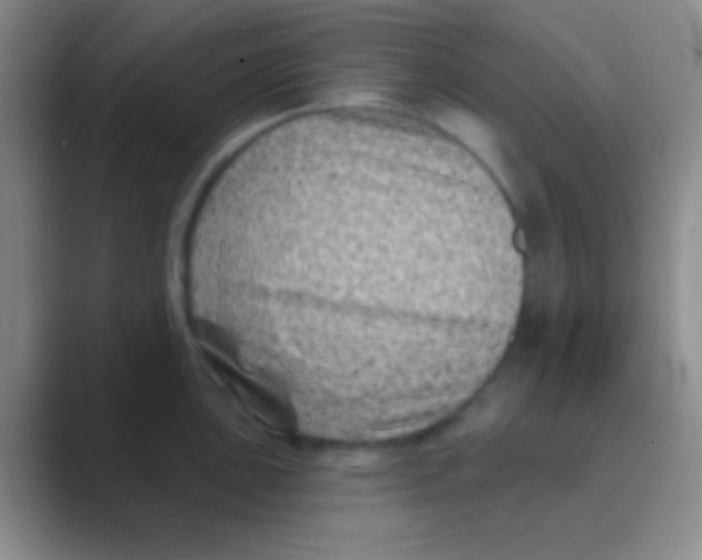 X0000088731051200706282120