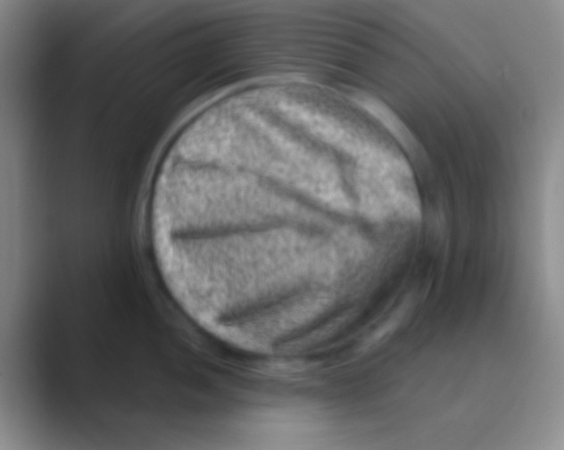 X0000088731052200706282120