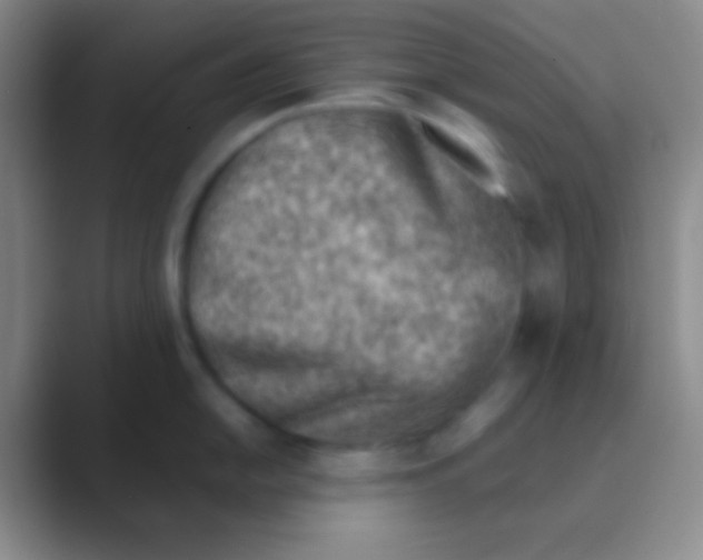 X0000088731054200706282120