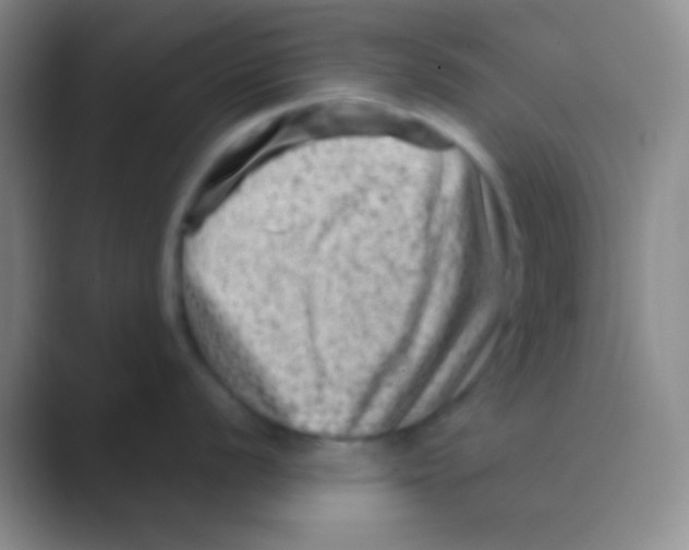 X0000088731056200706282120