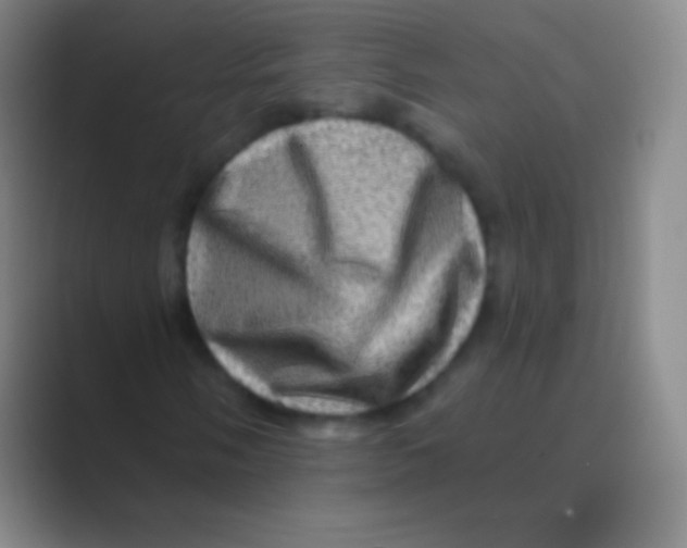 X0000088731058200706282119