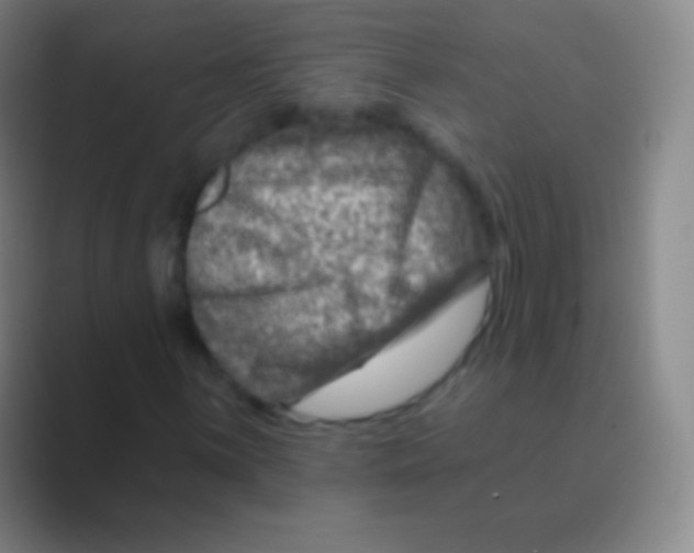 X0000088731059200706282119