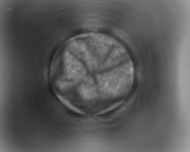 X0000088731060200706282119