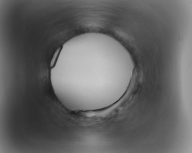 X0000088731061200706282119