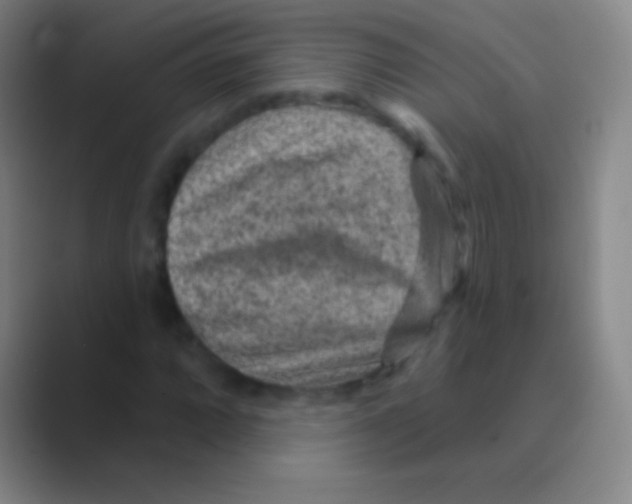 X0000088731064200706282119