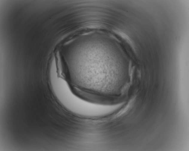 X0000088731065200706282119