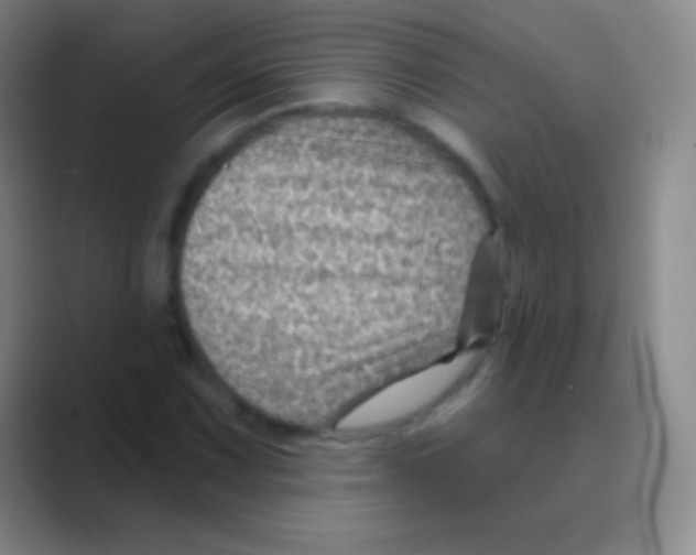 X0000088731067200706282119