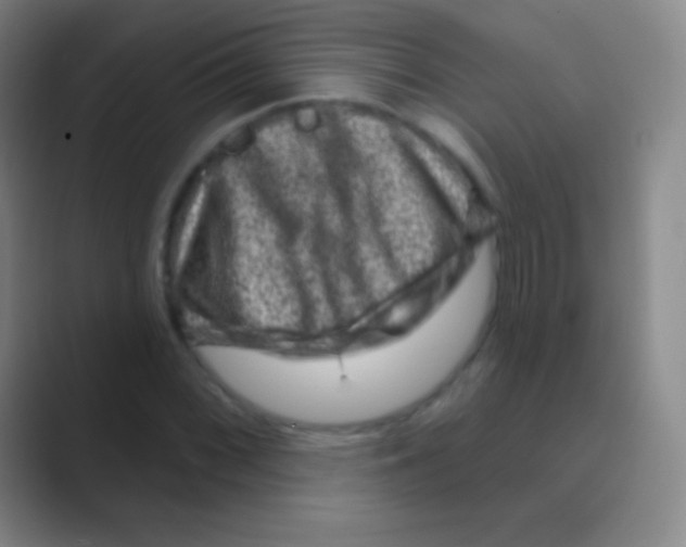 X0000088731068200706282119