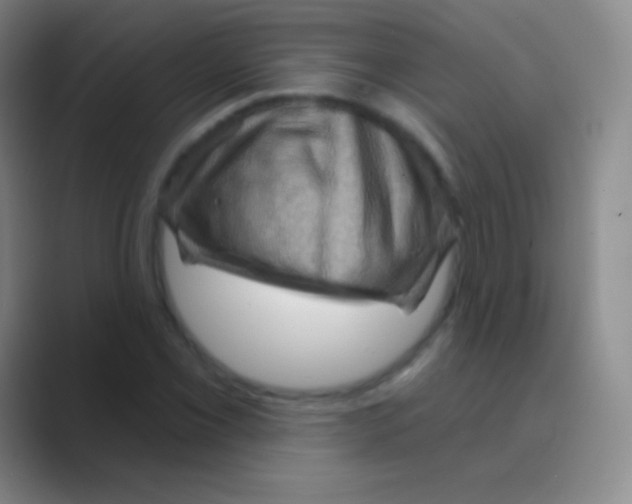 X0000088731069200706282119