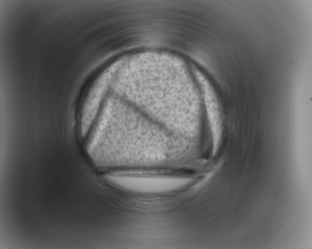 X0000088731070200706282119