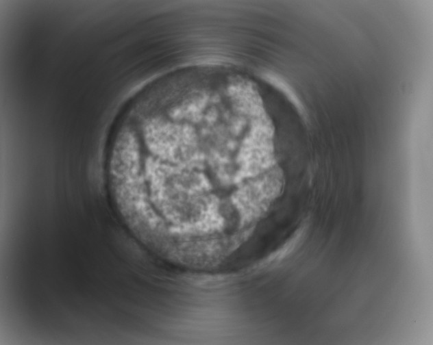 X0000088731071200706282119