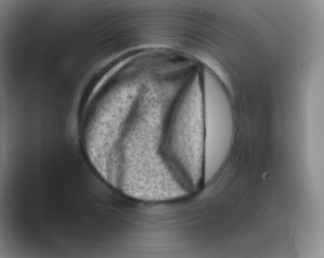 X0000088731072200706282119