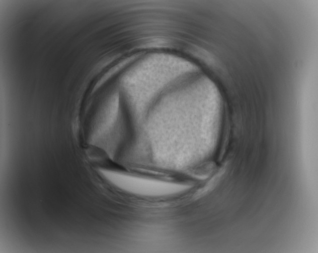 X0000088731073200706282119