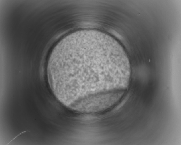 X0000088731074200706282119