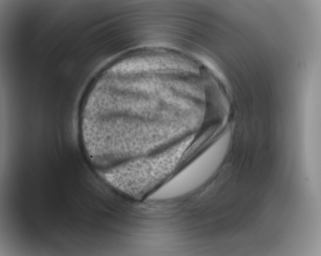 X0000088731076200706282119