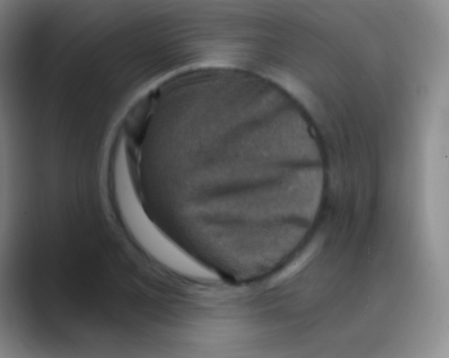 X0000088731077200706282119