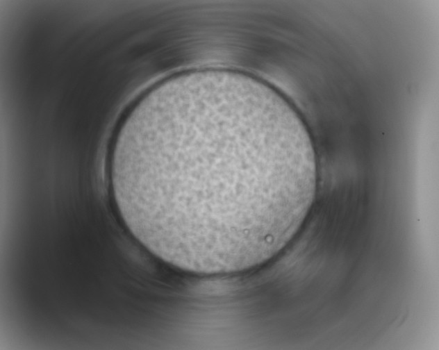 X0000088731078200706282119