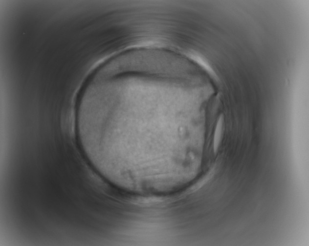 X0000088731079200706282119