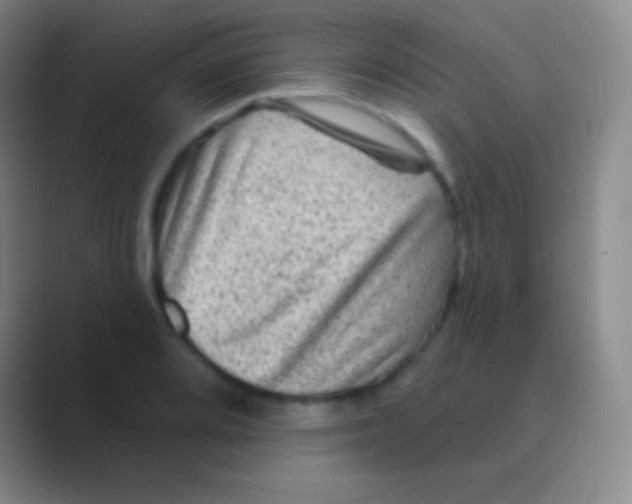 X0000088731080200706282119