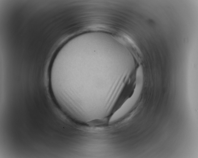 X0000088731082200706282119