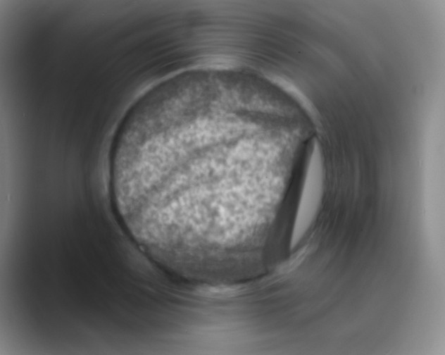 X0000088731083200706282119