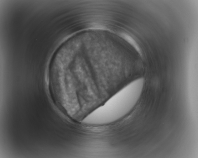 X0000088731084200706282119