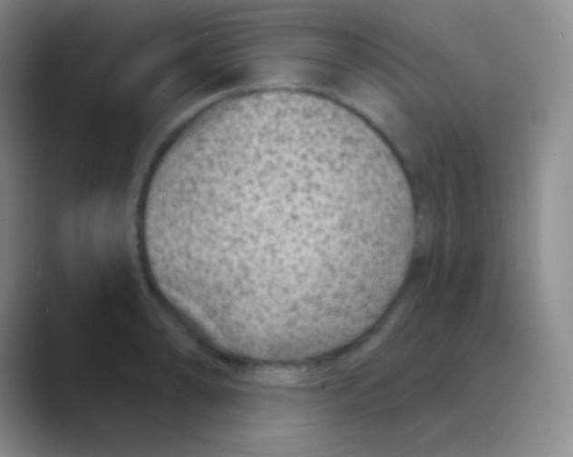 X0000088731086200706282119