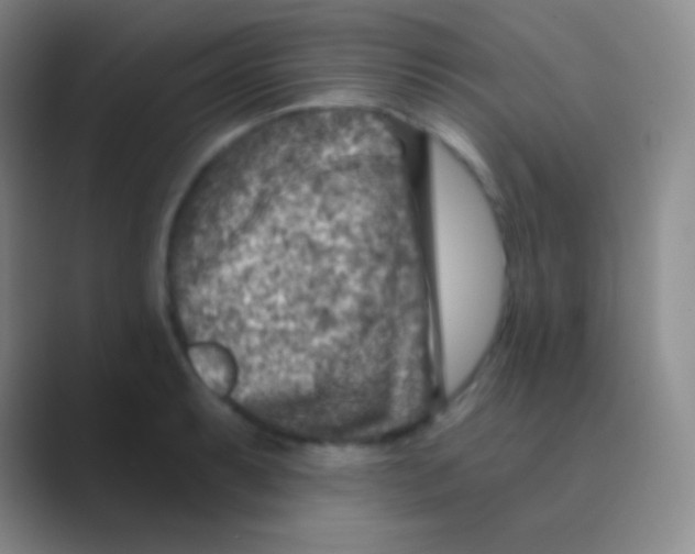 X0000088731087200706282119