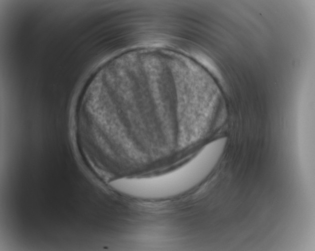 X0000088731088200706282119