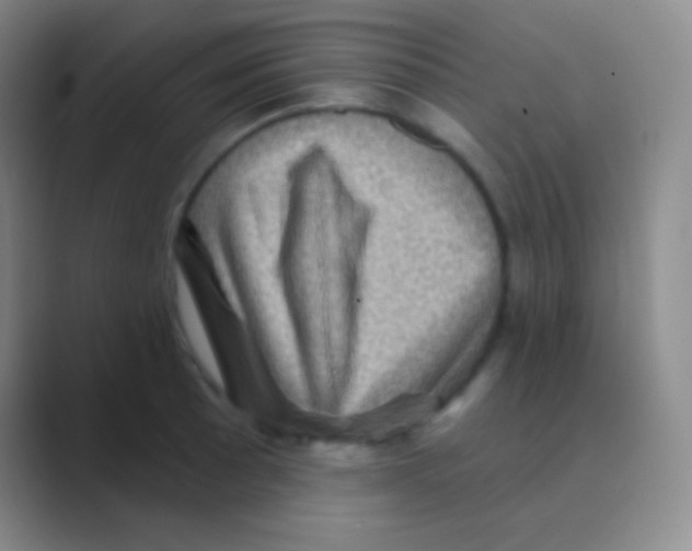 X0000088731089200706282119