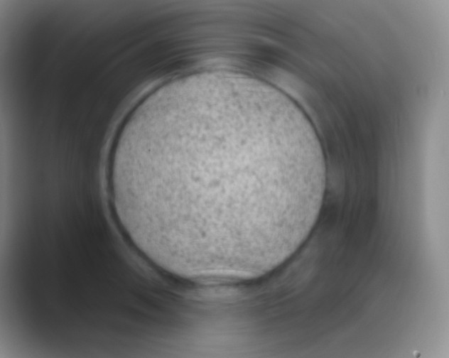 X0000088731090200706282119