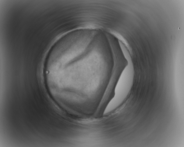 X0000088731091200706282119