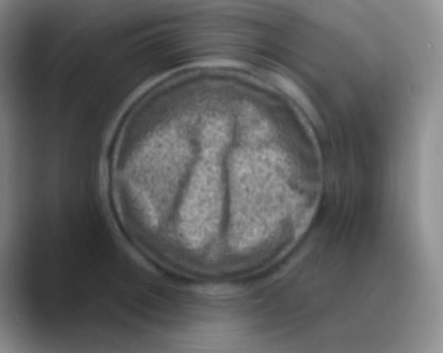 X0000088731092200706282119