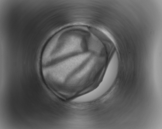 X0000088731093200706282119