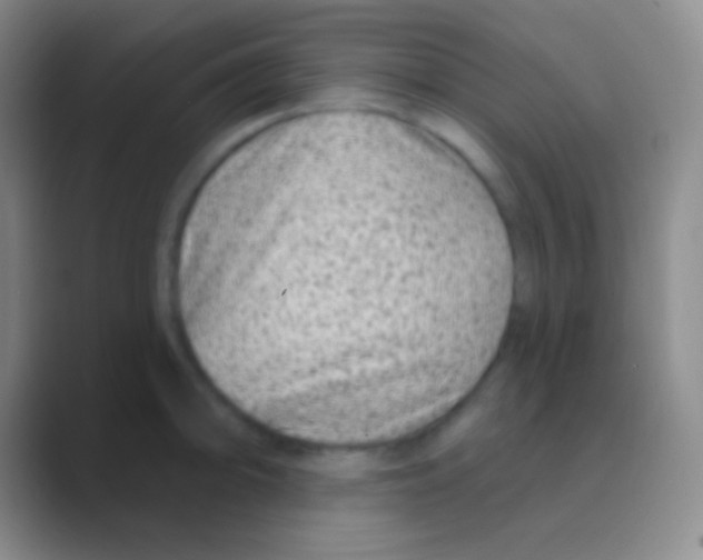 X0000088731094200706282119