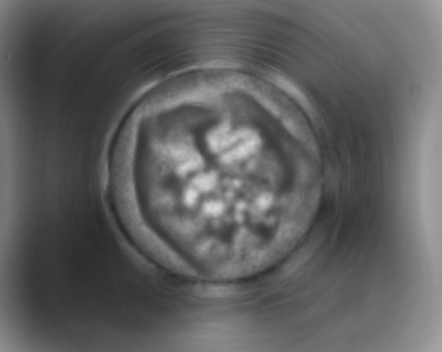 X0000088731095200706282119