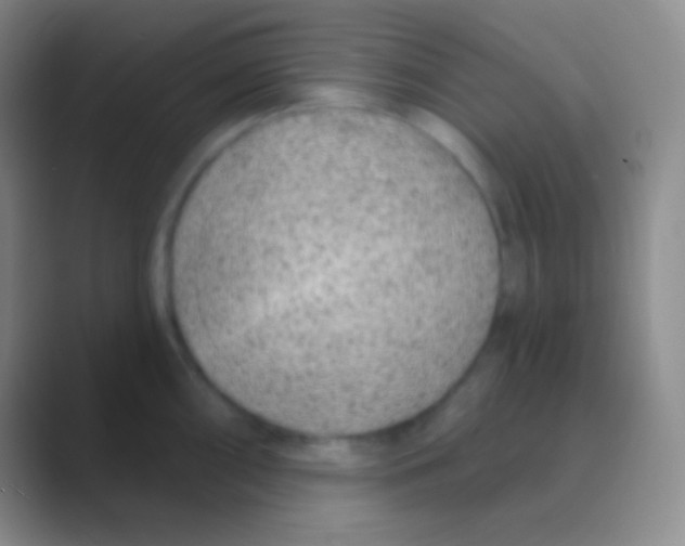 X0000088731098200706282119