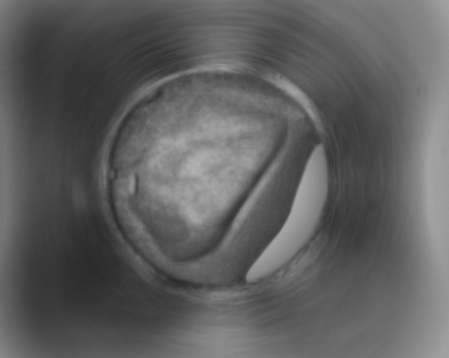 X0000088731099200706282119