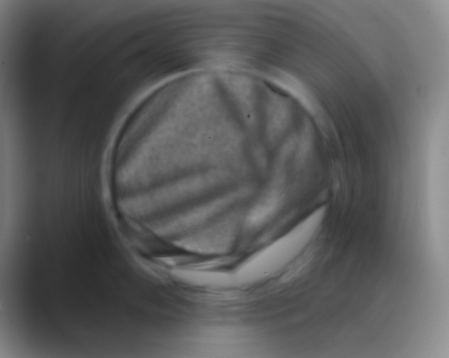 X0000088731102200706282119