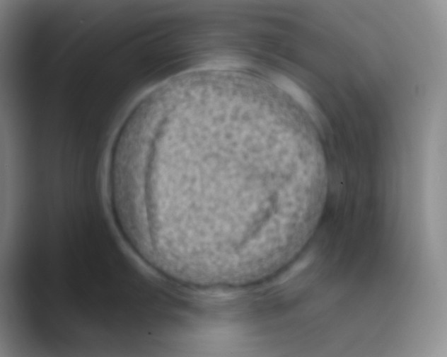 X0000088731103200706282119