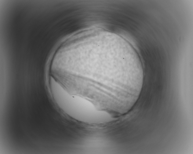 X0000088731104200706282119