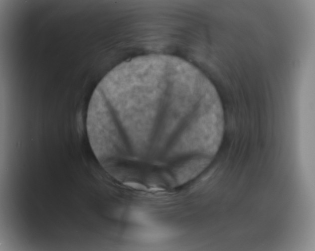 X0000088731106200706282118