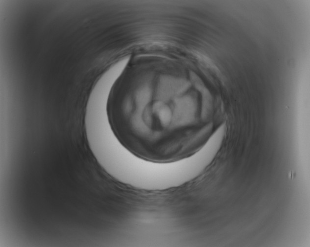 X0000088731110200706282118