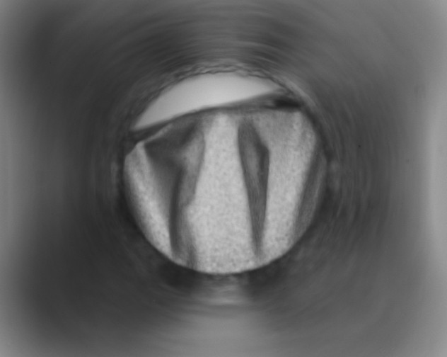 X0000088731111200706282118