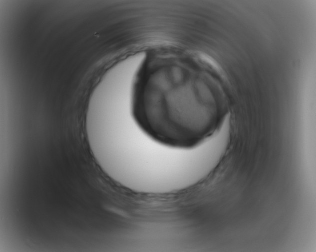 X0000088731112200706282118