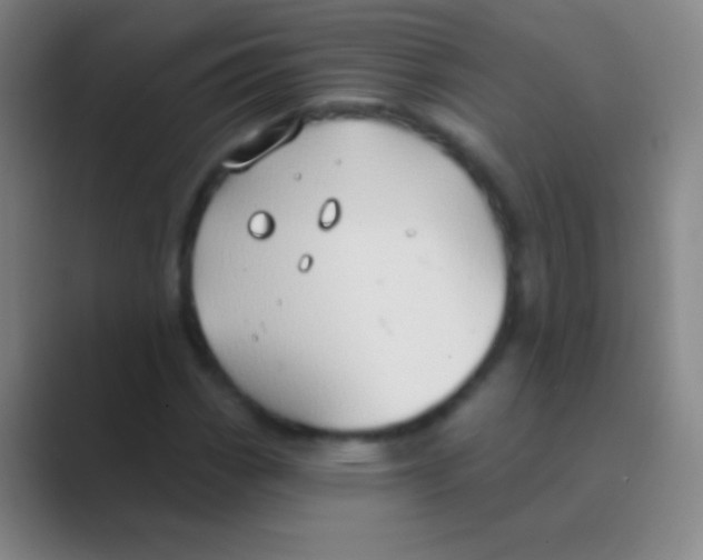 X0000088731113200706282118