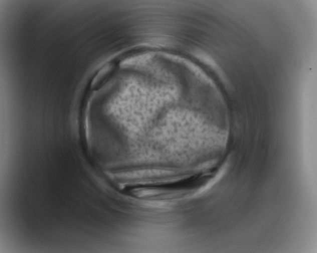 X0000088731114200706282118