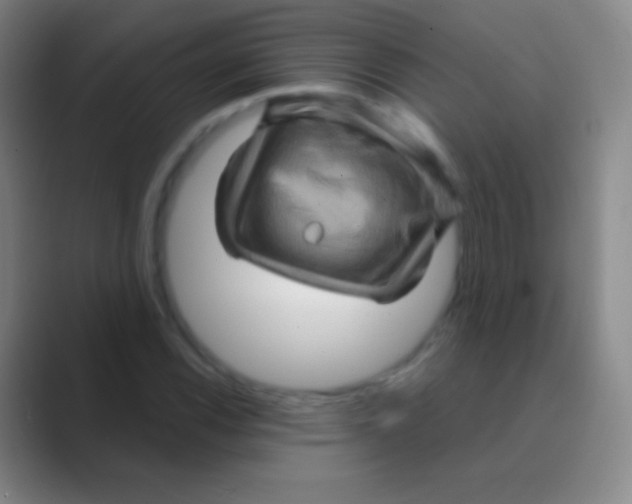 X0000088731116200706282118