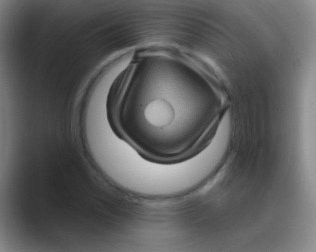 X0000088731118200706282118